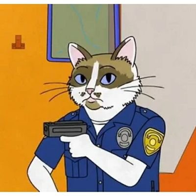 boomerang_baz's profile picture. 🐈