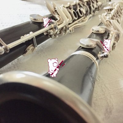 sakura_11423's profile picture. 熊高 ▶︎ 九大教育 ▶︎ 東京 / 吹奏楽 Cl ▷ 九大フィル Fg