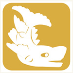 nagoyakaigi's profile picture. 名古屋で貸会議室をお探しなら『名古屋会議室』にお任せください！！名古屋市内の名古屋駅・錦・丸の内・栄・新栄を中心に東海地区に98拠点・289室をご提供。日本会議室累計ご利用件数85,848件・2,506,601人にご利用いただいております。（平成29年11月末日現在）