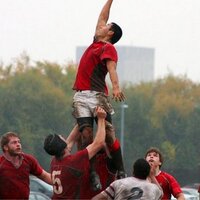 Hao (@oah) 's Twitter Profile