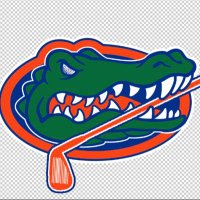 Go Gators! (@pdizzlefoshiz) 's Twitter Profile