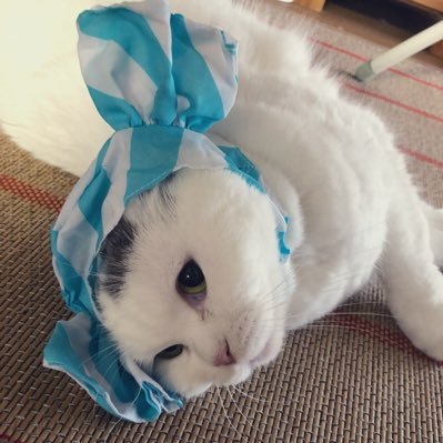 0802Ton's profile picture. 