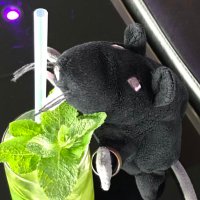 RealityMinus3 & Zeke Rat (@realityminus3) 's Twitter Profile