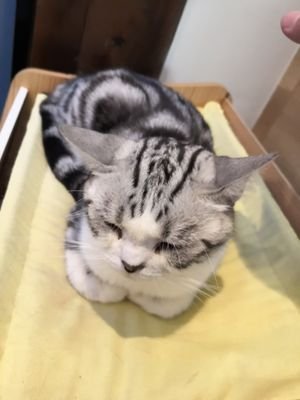 wzhaha1's profile picture. 