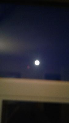 Spacegi47095110's profile picture. the. distant. things