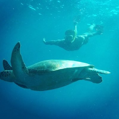 ChopperFizz's profile picture. 