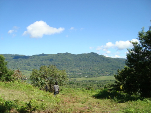 aozora odha Profile