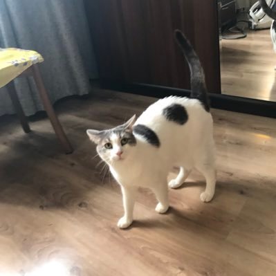 ozacar_t's profile picture. Scientist - mom - teacher - yoga lover - wife -daughter - woman