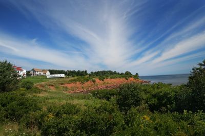 misoro1's profile picture. Internet,mobile,welless
life is cool~^^