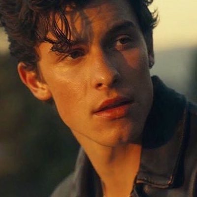i love @shawnmendes and @taylorswift13 , their music make me feel better
