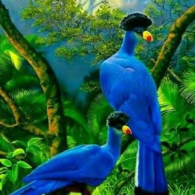 Julio64906707's profile picture. 