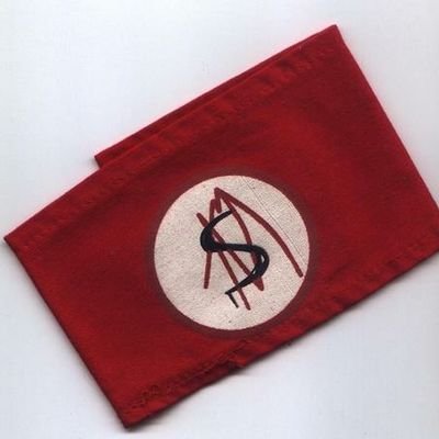 ChelKo_'s profile picture. No visto santos de madera.