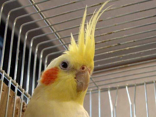 ya46459's profile picture. アラフォー、一児の父