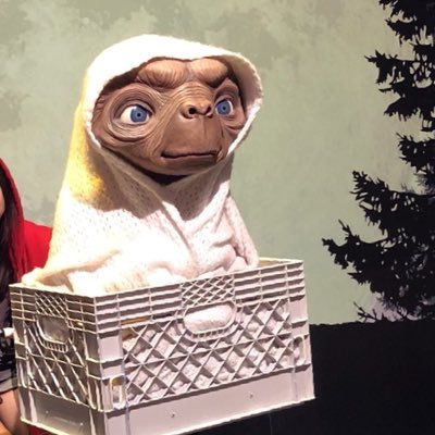 __haha_haha's profile picture. ⚾️/waseda/#lovefighters #54 #山縣秀 ｶﾞﾀｼｭｰ🧸⚾️🩵/ﾄﾞｱﾗ🐨💙 /sugargliderﾌｸﾛﾓﾓﾝｶﾞ/韓国ﾄﾞﾗﾏ/kpop/cheerleading/令和ﾛﾏﾝ も好き