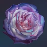 RuiMoon0120's profile picture. 趣味用アカ
アニメ・東方・ゲーム好き
TRPG好き
飯テロもする