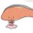 るるちゃんのアイコン