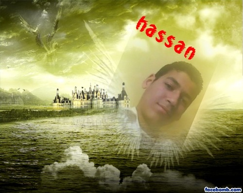 elprof_hassan's profile picture. 