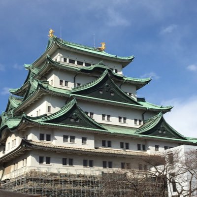 趣味 将棋 麻雀 ゲーム アニメ 競馬🏇 競輪🚴 オートレース🏍️公営競技観戦、その他スポーツ観戦(TV観戦)