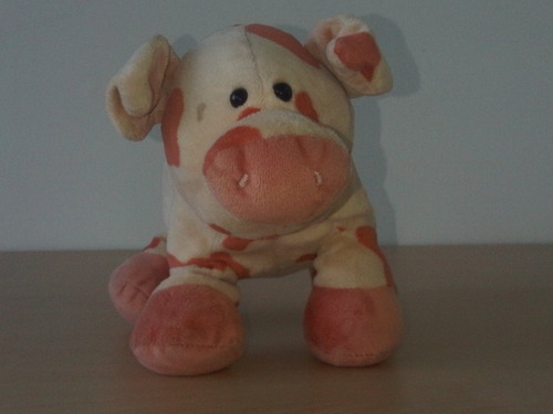 More sole trader than rogue trader, i'm the practical pig who can't help being honest about small business issues.