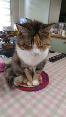 aeH5PTsClfaSkp5's profile picture. 毎日、美味しい薬膳茶を考えてます。