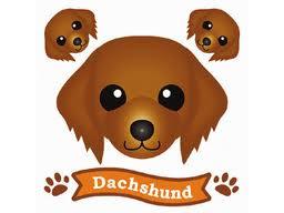 anzpp3722's profile picture. 思いつくままつぶやいています。
よろしくおねがいします。