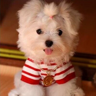 a_sha176's profile image