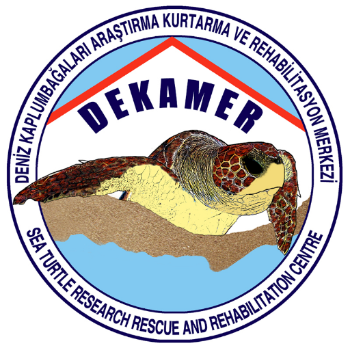 dekamerturkey Profile Picture