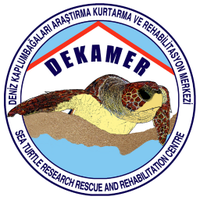 DEKAMER(@dekamerturkey) 's Twitter Profile Photo