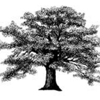 Doire Press (@doirepress) 's Twitter Profile Photo Doire Press (@doirepress) 's Twitter Profile Photo