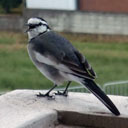 d_design_wkshop's profile picture. SEは楽じゃないけど、お客様の喜ぶ顔がエネルギー。。。