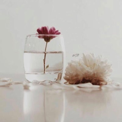 FiriNis's profile picture. اللهم ارحم ابي وامي رحمةً واسعه واجعلهما من اهل الفردوس الاعلى 🥀🍂