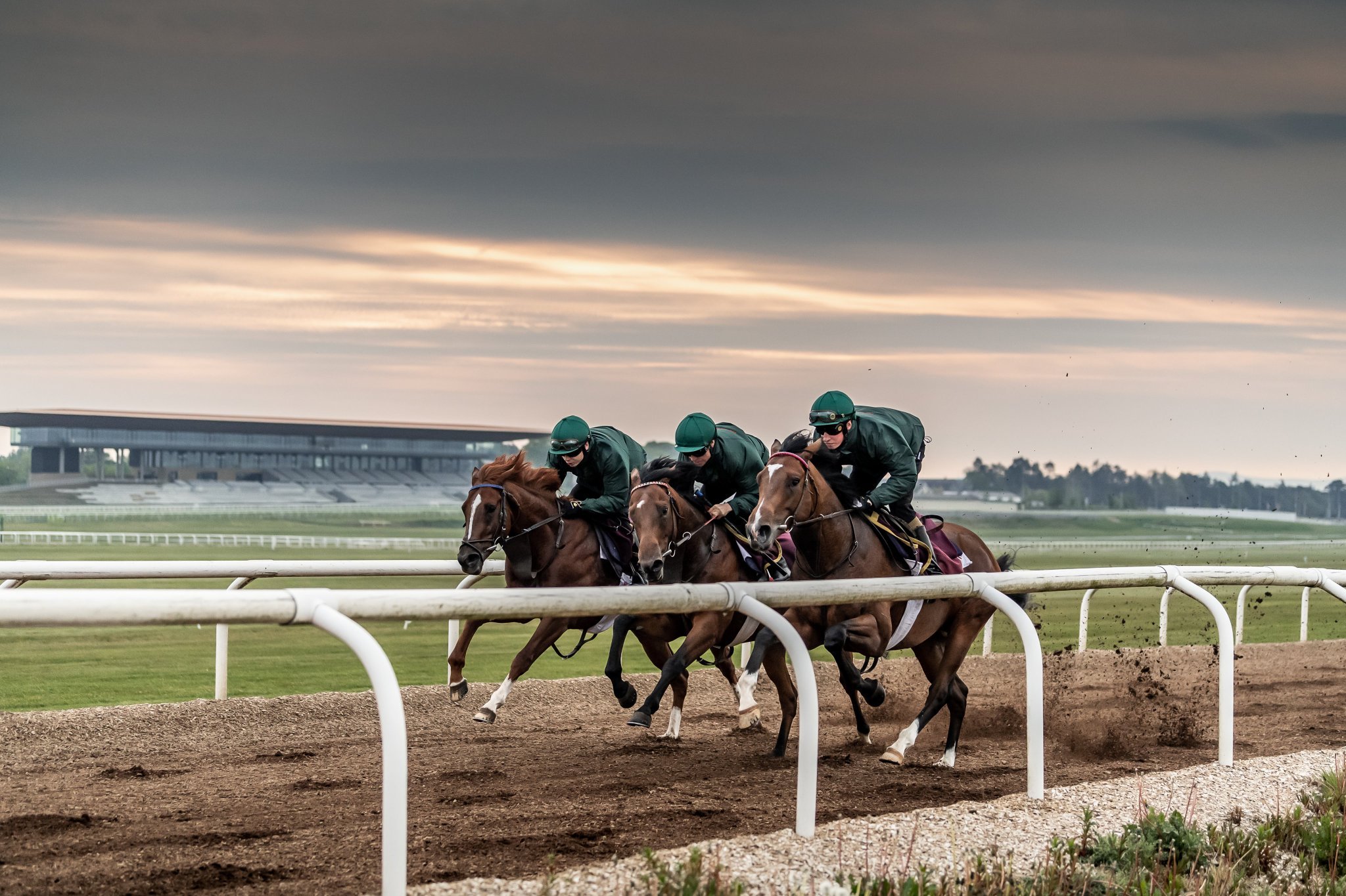 ETurftrot's profile picture. I like the memorabilia of horses, races, jockeys, etc ...
I love racing horses!!
come on !! collaborate with me