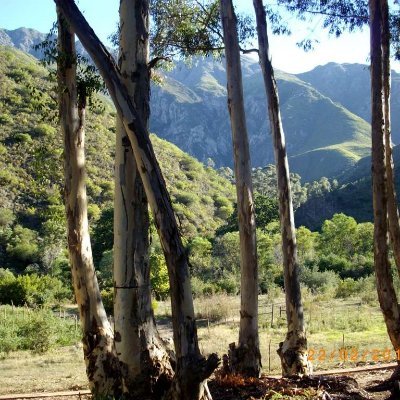 Your Gateway to Robertson South Africa by @EJHill1977