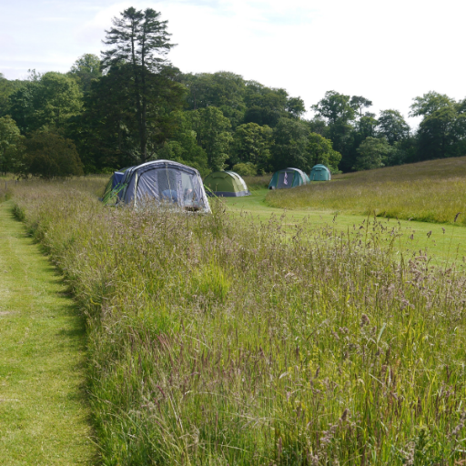 An idyllic secluded campsite in rural Northumberland by the banks of the River Coquet offering peace and tranquillity