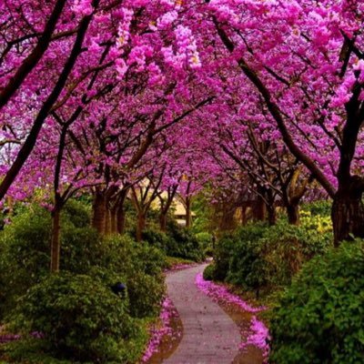 iskembe_ikubra's profile picture. Yazdıklarım kaderin bana yazdırdıklarıdır benle alakası yoktur. Yazdıklarım beni bağlamaz kimi bağlar bilemem