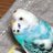 ゆずこ