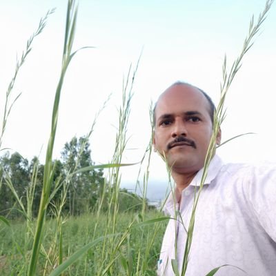 hanumanthatk's profile picture. t.k.hanumantharaju, advocate