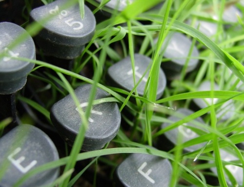 BlogBriefs's profile picture. Hello there. Seems you've found an old twitter address. Please instead follow @PRN4bloggers or @thomashynes Hope the rest of your day is cool beans!