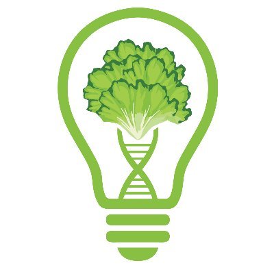 NWO-TTW perspective programme of plant-/computational-biologists & breeding companies on lettuce as model leafy green. #resilience #architecture #bioinformatics