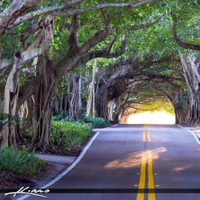 Avid tree lover, plants, protects and preserves nature. 
அணைத்து உயிர்களுக்குமான பூமி இது..