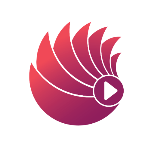 Dataplayer - See the BIG Profile