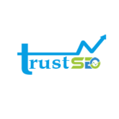 trustseobd's profile picture. Digital Marketing Agency to grow your business online! @Trustseobd Helping you succeed online platform.