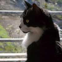 PROFEHUGO (@profehugos) 's Twitter Profile