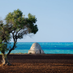Regione Puglia (@regionepugliaor) Twitter profile photo Regione Puglia (@regionepugliaor) Twitter profile photo