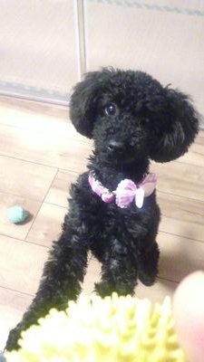 5JARDufAKyg0Vch's profile picture. 