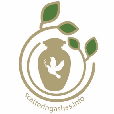 scatteringashe1's profile picture. 