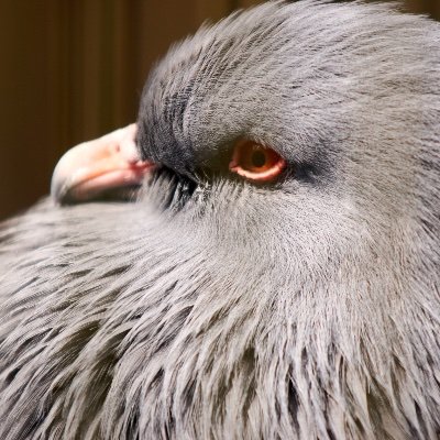 wzdNOd84CX23937's profile picture. コンサルタント。コーチ。GTD（仕事術・思考法）、コーチング（自他共に）、写真（趣味）、から主に構成されています。noteに記事を出しています。何か生活や仕事で悩んだ時のヒントになるかもしれません。質問も歓迎。お役に立てたら幸いです。