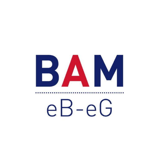 British Academy of Management E-Business and E-government Special Interest Group. #eBeG #ebusiness #egovernment