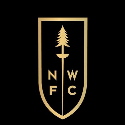 NWFC is a non-profit fencing facility renowned for affordable fencing instruction for athletes of all ages. Help us reach our fundraising goal, see our website.