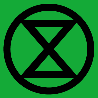 Acción directa no-violenta y desobediencia civil, frente a la abrupta crisis climática y ecológica. ⌛️ #ExtinctionRebellion #XRChile